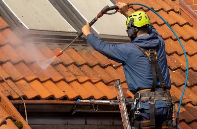 Démoussage et hydrofuge de toiture à Vannoz